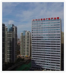 国有控股<br>东方影都